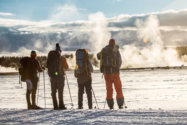 Cross-country skiers in Yellowstone National Park