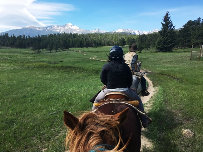 horseride Visitors riding horses across a meadow