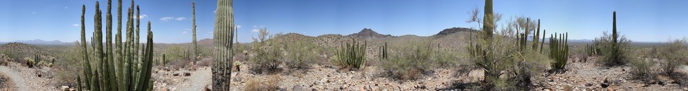 This panorama highlights the view from on top of the ridge of The Desert View Trail, rocky and rolling desert terrain with saguaro cacti and other vegetation.