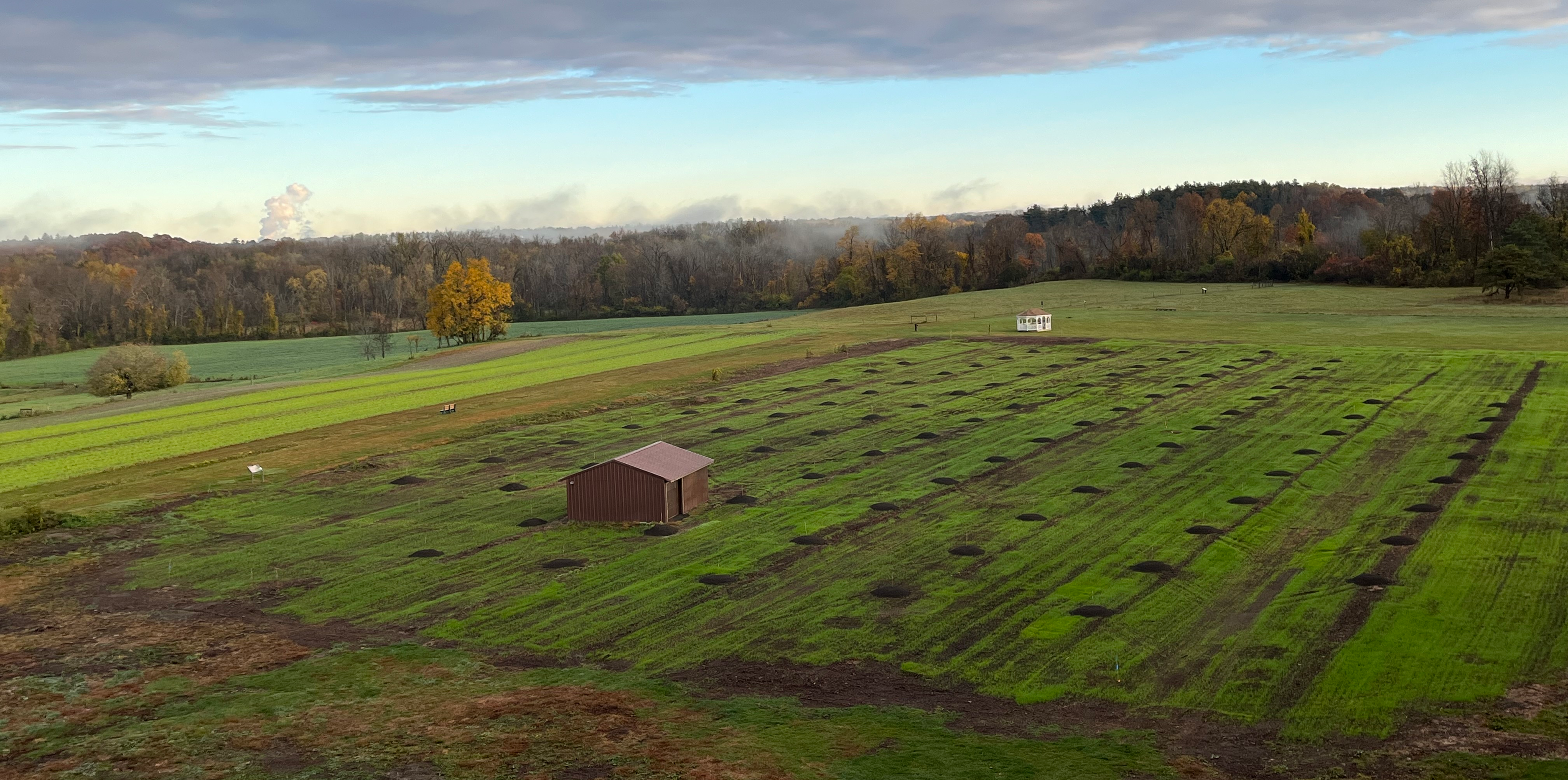 High angle view of orchard site before planting. Mounds of soil form a grid around a one-story maintenance building