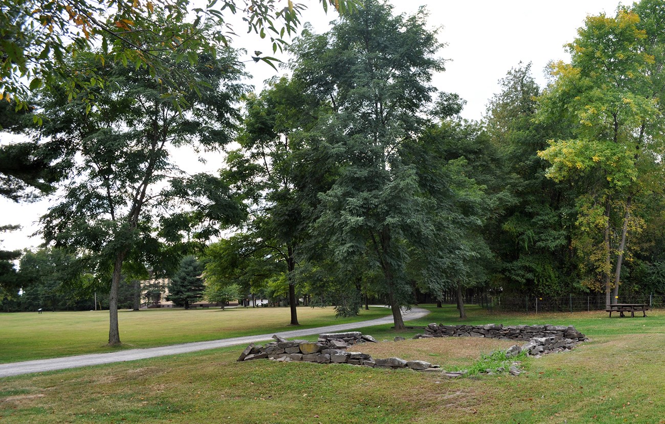 Black locust trees are spaced along a curving driveway, near a woodlot to the right and areas of turf