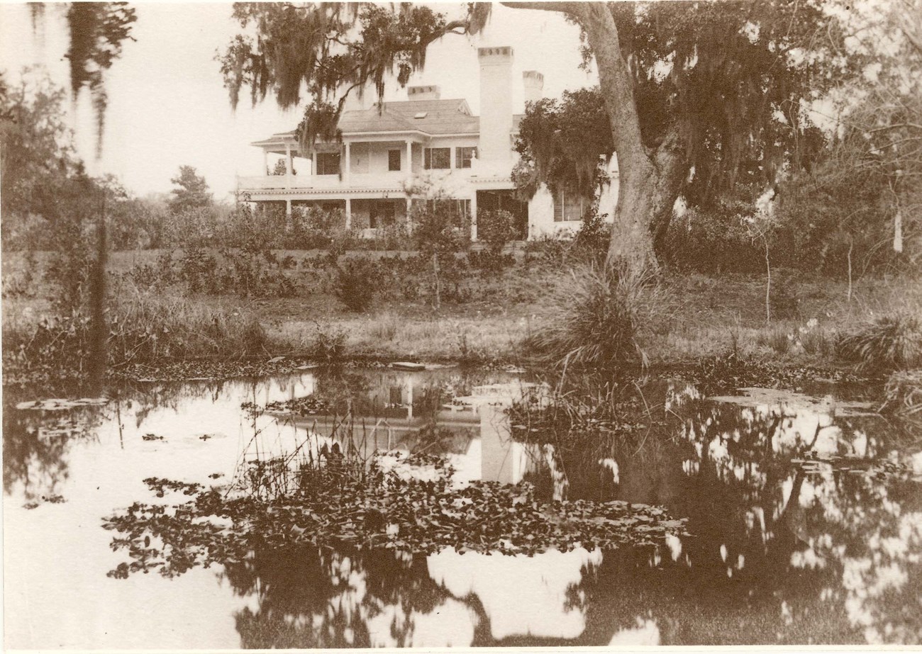 Water plants grow in a pond, with trees, shrubs, and a two-story house with chimneys beyond.
