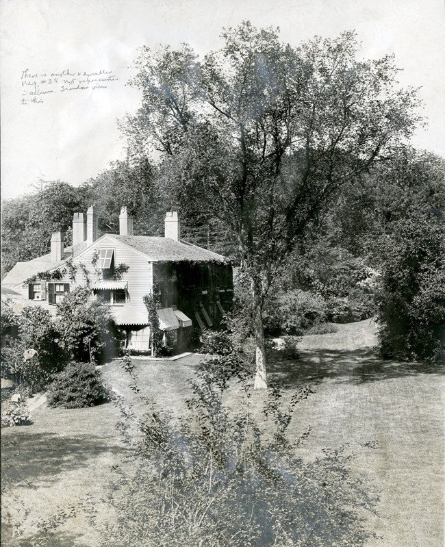 Historic photo of a tall elm tree shading a lawn beside a two-story house.