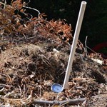 A thermometer sticks out of a pile of compost.