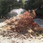 A spray of water wets a compost pile.