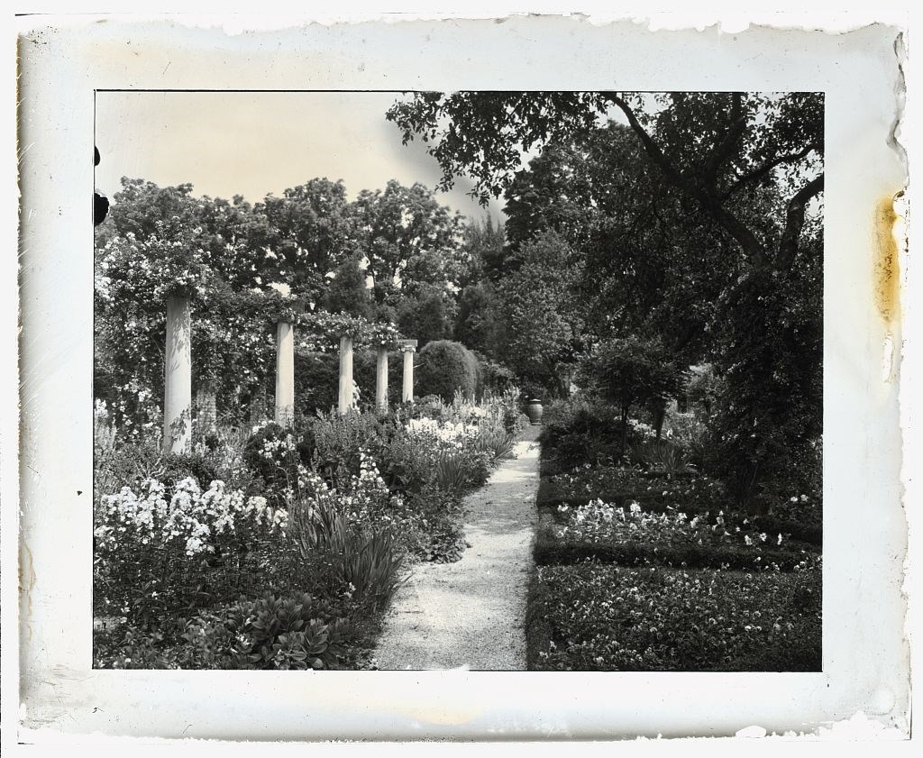 Flowers bloom along a pergola beside a walkway