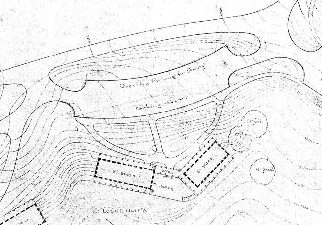 A drawing plan shows structures, roads, topography, and the locations of three existing trees.