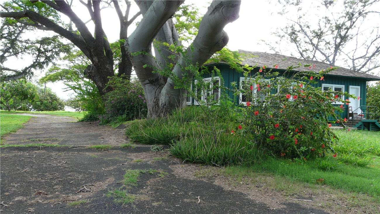 2018 Belleau Wood Loop flanked by trees Tall trees, flowering shrubs, and short turf flank a paved walkway beside a single-story bungalow.