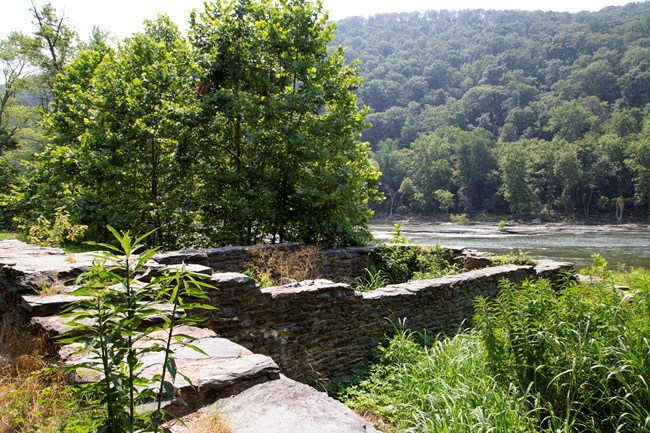 Vegetation grows in and around stone foundations, with a river and tree-covered hill in the background