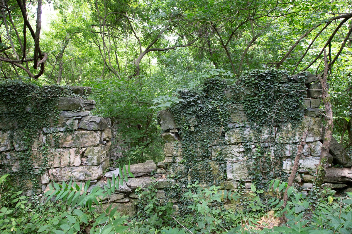 The stone foundation of a structure is covered in vines and surrounded by vegetation.