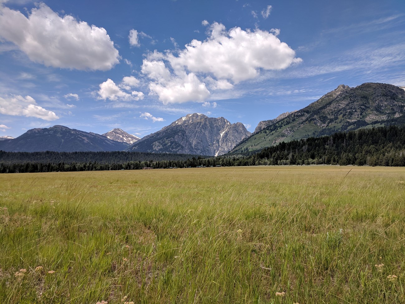 Ranch buildings are barely visible in the distance across a hayfield, at the base of trees and mountains.