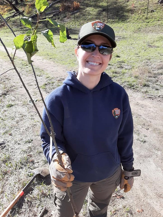 A smiling NPS employee holds a small tree ready for planting.