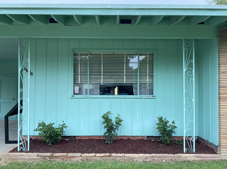 Roses in front of the Medgar and Myrlie Evers House Three rose bushes grow in a planter under a rectangular window in a blue-green wall.