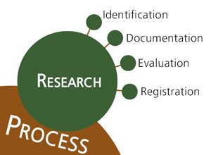 Branching diagram shows elements of research