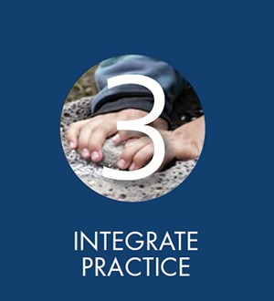Integrate Practice logo