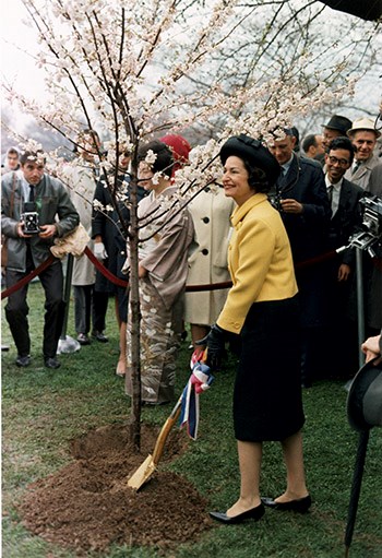 Lady Bird Johnson smiles with a shovel beside a newly planted cherry tree, surrounded by onlookers