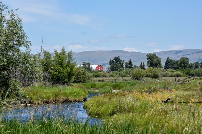 Grant-Kohrs Ranch National Historic Site Grass and shrubs grow along the banks of a small stream flowing through wetlands, with a barn and mountains in the distance.