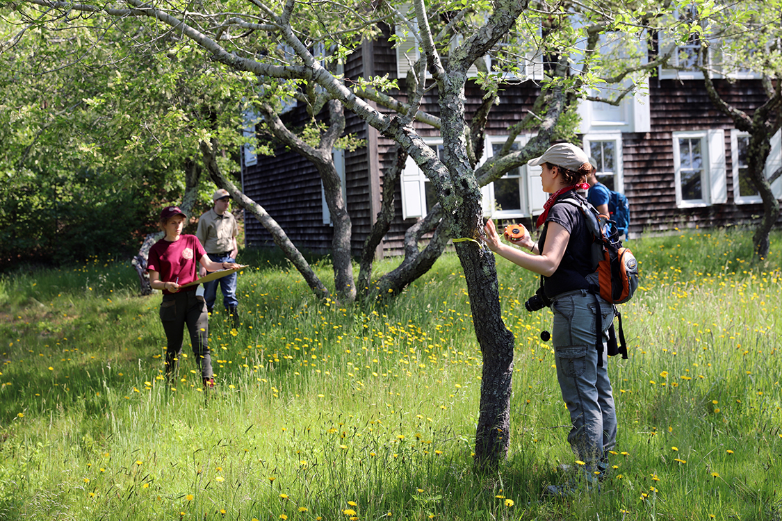 Assisting with a cultural landscape field inventory at the Pamet cranberry bog house