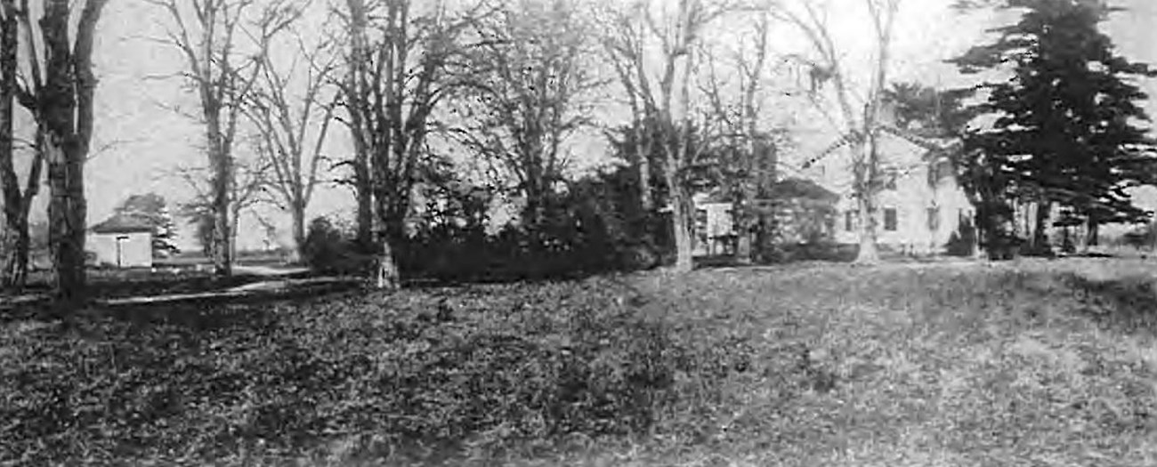 Historic photo of semi-circular drive with locust allée, trees spaced in a row in front of a house