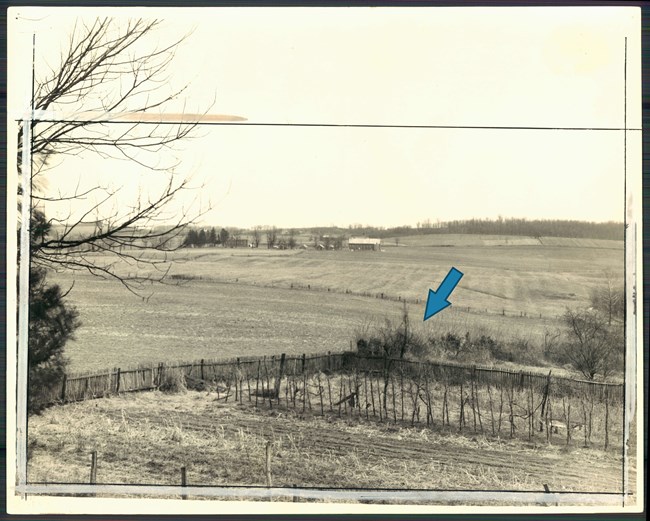 An open field and farm buildings, beyond a garden surrounded by fencing and a line of low trees