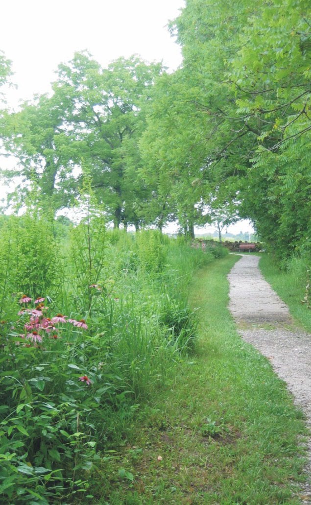 Trail at George Washington Carver Grasses and wildflowers grow along the left side of a gravel path, with leafy trees to the right.