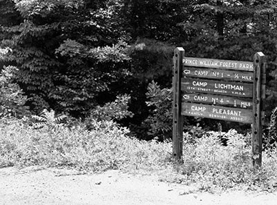 Rustic wooden directional sign at Prince William Forest Park