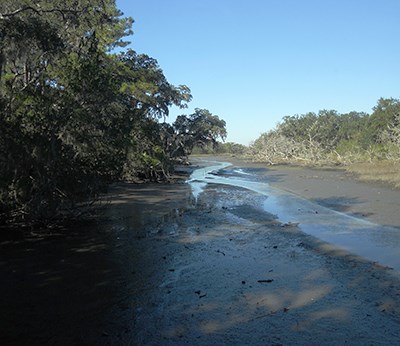 A thin, shallow creek weaves through a muddy tidal area, between tree-lined shores.