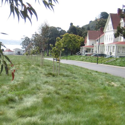 Lawn and buildings at Fort Baker