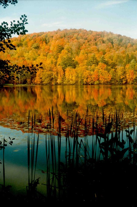 A tree-covered hillside, ablaze in the colors of fall, is reflected in the still water of a pond.