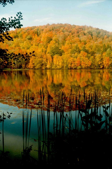 lt= A tree-covered hillside, ablaze in the colors of fall, is reflected in the still water of a pond.