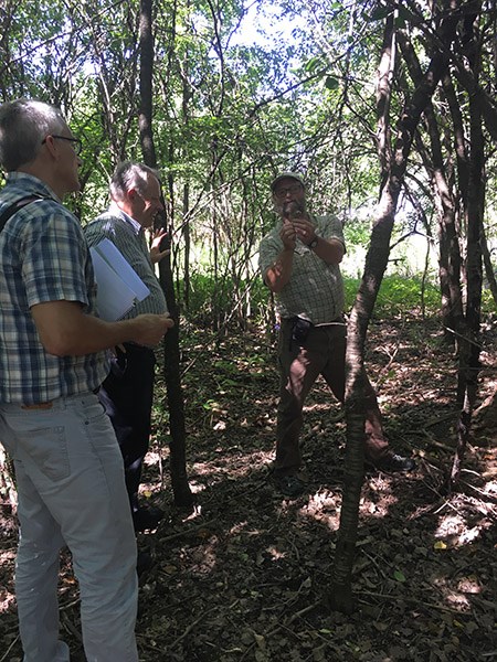 Three men observe foliage as they stand in the bright shade of young trees John Auwaerter and others assessing conditions at Harriet Tubman National Historical Park