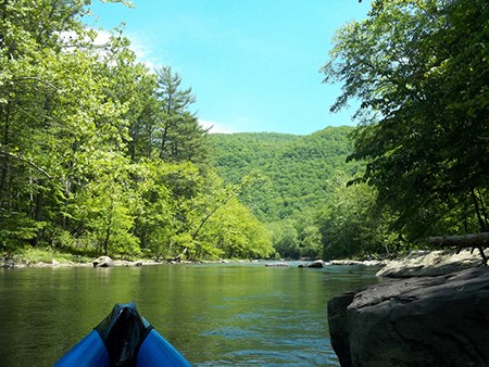 View of a still river surrounded by leafy trees on a sunny day, over the tip of a kayak.