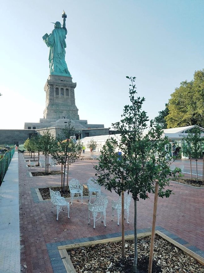 Recently planted trees are staked and mulched, spaced in a row along brick pavers. The Statue of Liberty faces away.