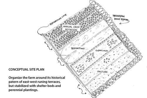 Site plan drawing of the farm pattern shows plantings and irrigation