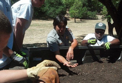 A park employee pulls a handful of compost from the back of a truck.