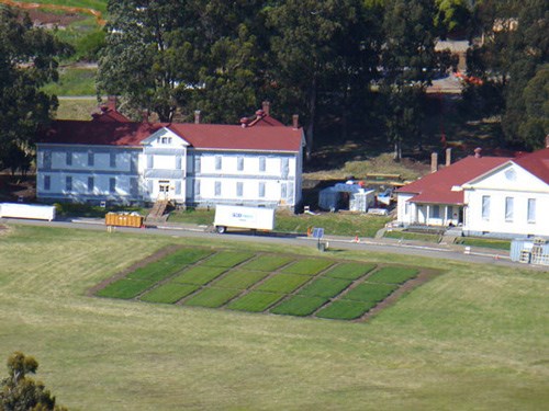 Different colored test plots of grass in the parade ground at Fort Baker