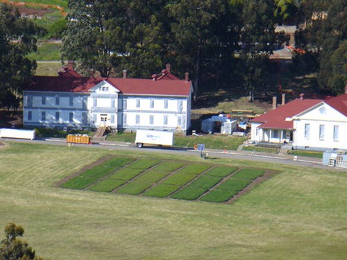 lt= Different colored test plots of grass in the parade ground at Fort Baker