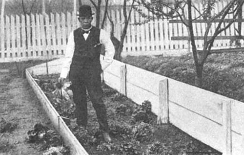 A man in a bowler hat, vest, and bowtie holds a head of lettuce in a garden bed surrounded by a fence.