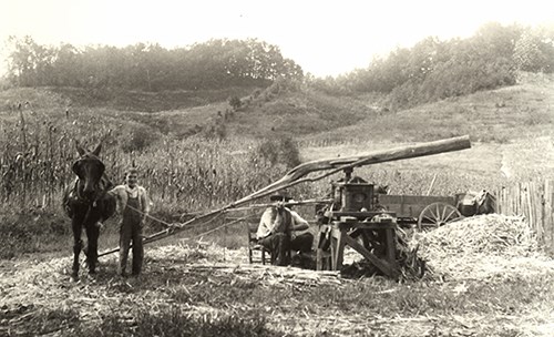 Seated farmer and his son grind sorghum cane in a field using a mule and a wooden mill