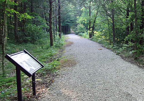 An interpretive wayside stands beside a straight gravel trail through a wooded area