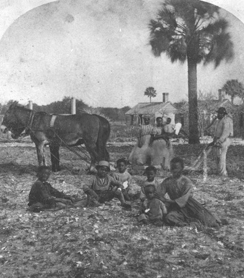 A group of African American children sit on the ground near a team of horses.