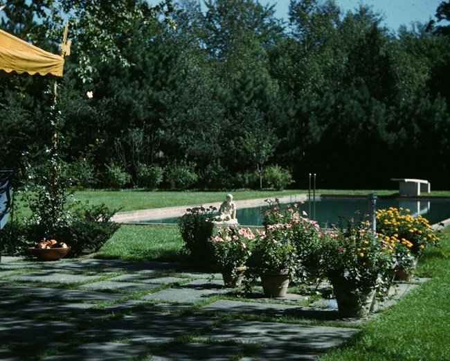 Flowers in pots grow on a patio of square pavers beside a pool with a diving board