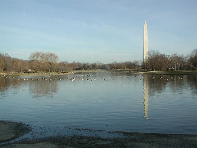 Constitution Gardens Lake Ducks and geese swim across the surface of the Constitution Gardens Lake. The Washington Monument is visible at a distance and within the glassy reflection of the lake.