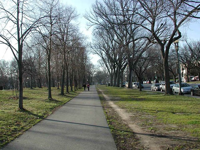 The asphalt walk along Constitution Avenue is flanked on either side by an alee of deciduous trees.