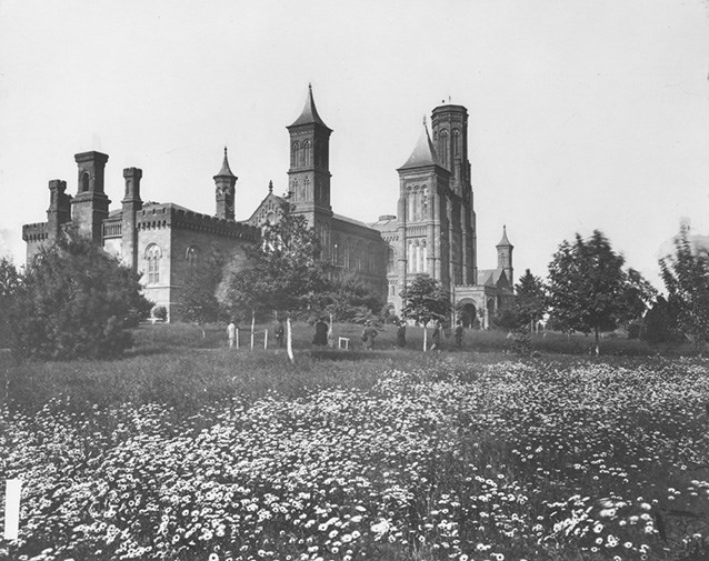 The slope from the Mall to the Smithsonian Castle in 1860. The towers of the Smithsonian Castle rise beyond young trees and a field of flowers.