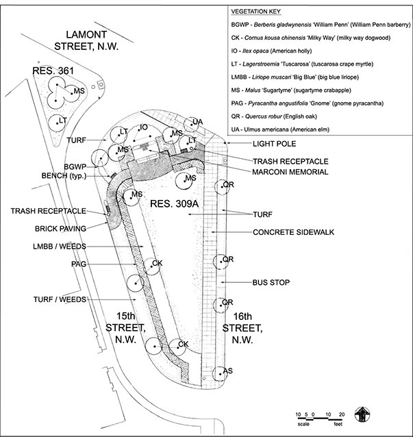 A plan of exiting conditions from 2007, with plants and hard-scape materials delineated.