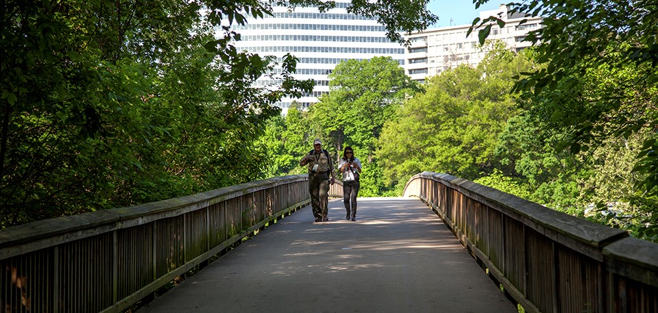 Two pedestrians cross a footbridge with wooden railings, from city to shady forest