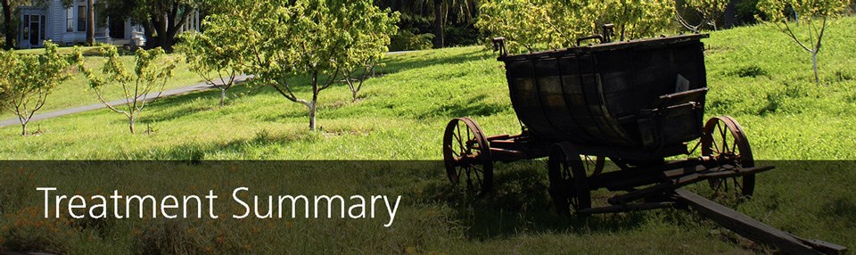 "Treatment Summary" - A wooden wagon sits in a sunny orchard