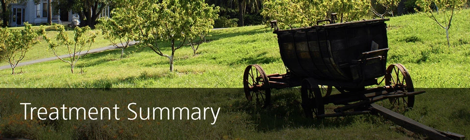 "Treatment Summary" - A wooden wagon sits in a sunny orchard