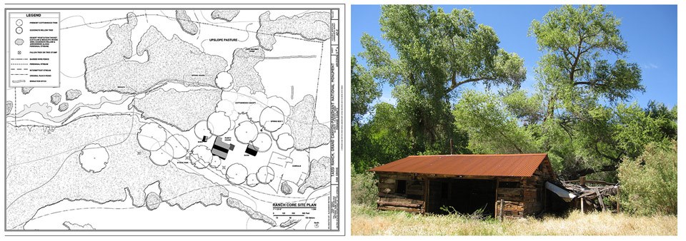 Tassi Ranch site plan and barn photo.